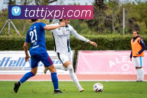 新葡京娱乐APP 封面图